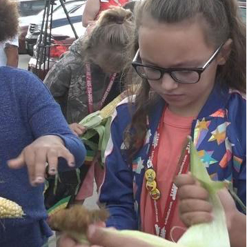 2. Roots in the ‘Real&nbsp;World’