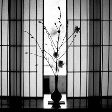 3. Domestic Enlightenment