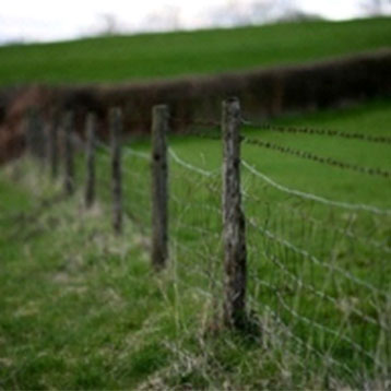 19. The Comfort of&nbsp;Boundaries