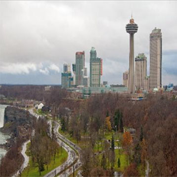 20. There Are No Skyscrapers in the&nbsp;Forest